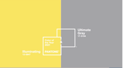 Pantone Colour of the Year, 2021