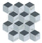 Geo Grey Hex Mosaic Tile